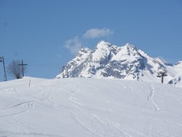 DSC01850